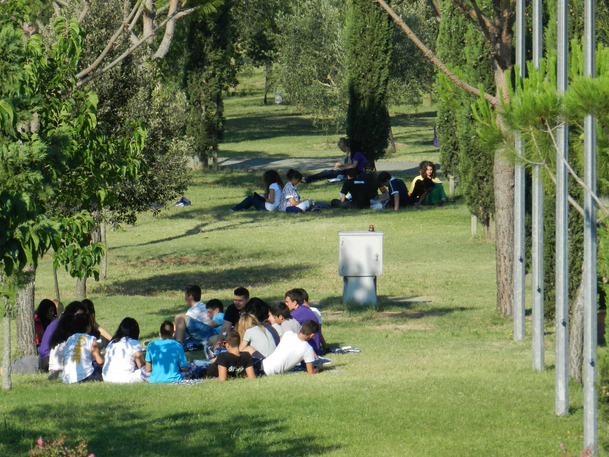 team building (6)